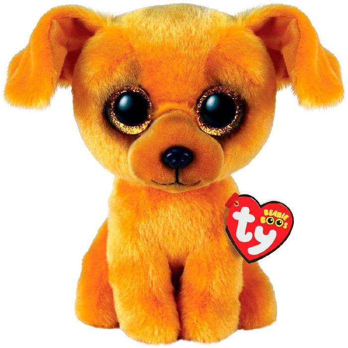 Beanie Boo Regular Zuzu - Giftolicious