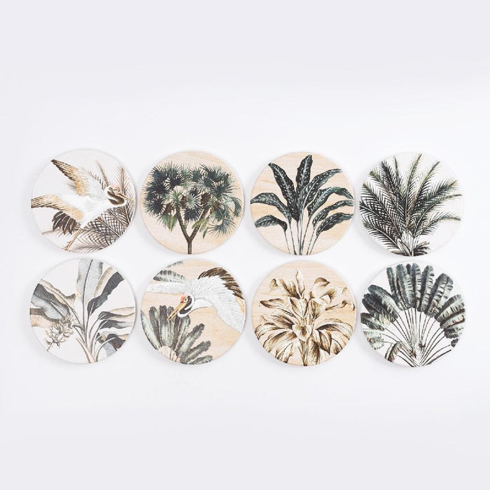 Exotic Coaster Fern - Giftolicious