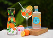 Hand Painted Fruit Gin Glass Oranges - Giftolicious