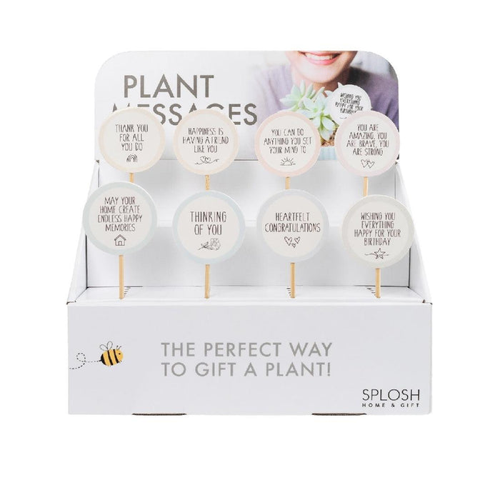 Home Grown Congratulations Plant Message - Giftolicious