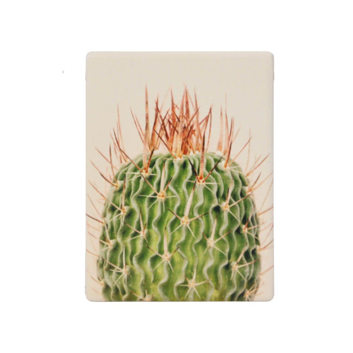 Natural Oasis Spiky Ceramic Magnet - Giftolicious