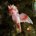 Xmas Galah Flying Bird Small Pink White - Giftolicious