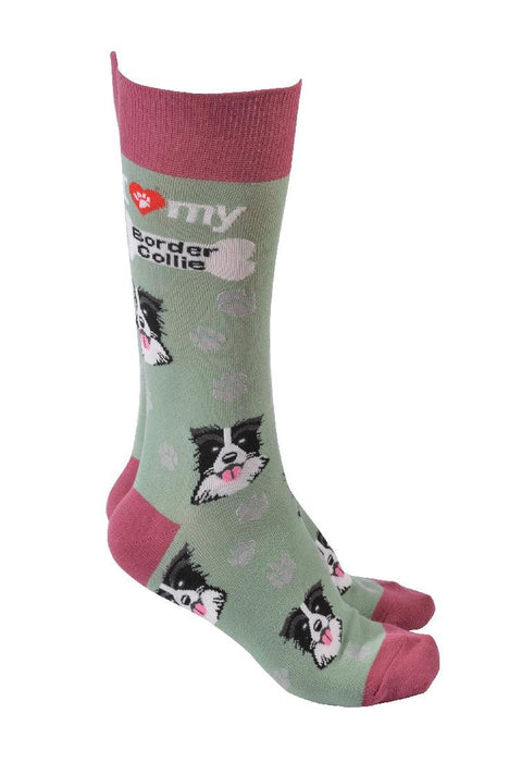 Dog Society Socks Border Collie - Giftolicious