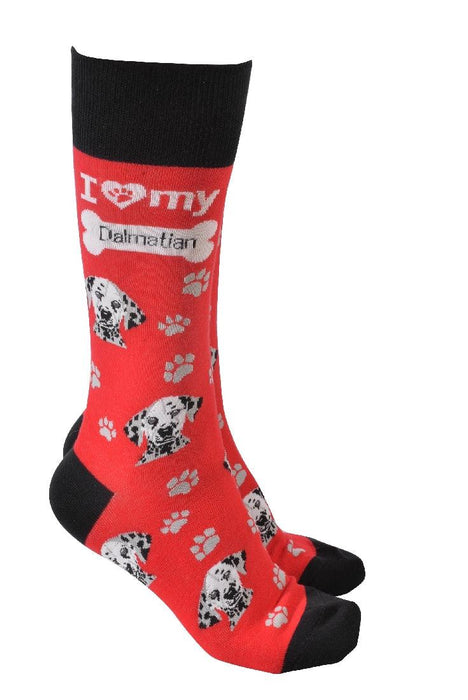 Dog Society Socks Dalmatian - Giftolicious