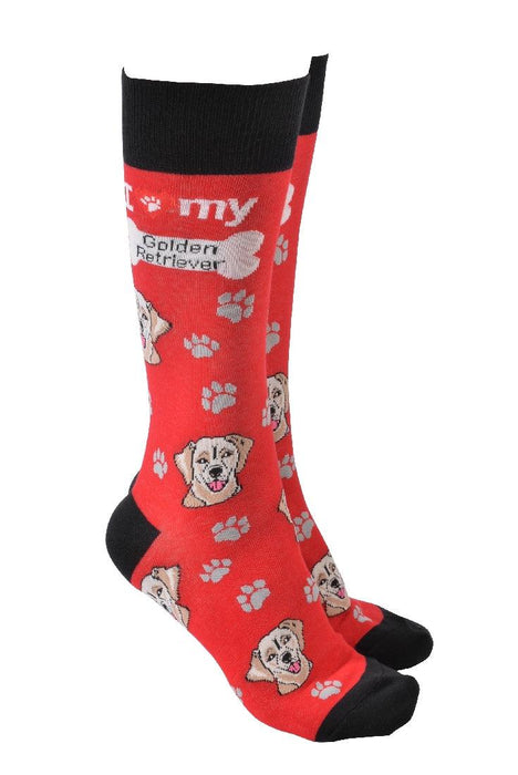 Dog Society Socks Gold Retriever - Giftolicious