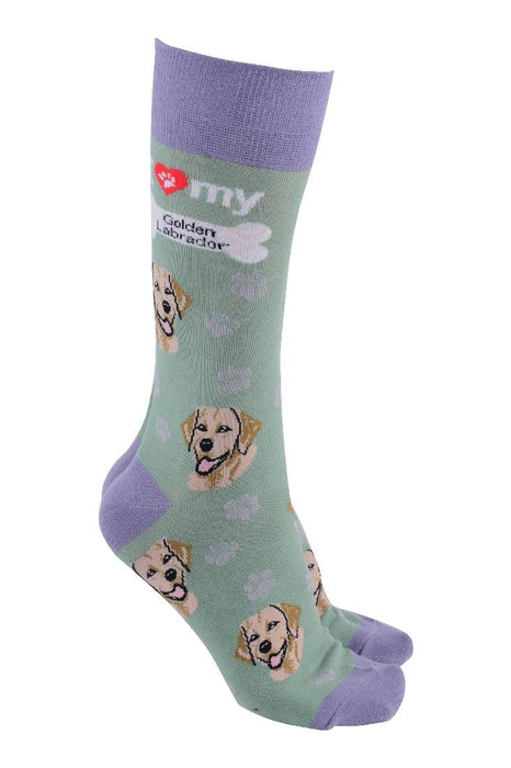 Dog Society Socks Golden Lab - Giftolicious