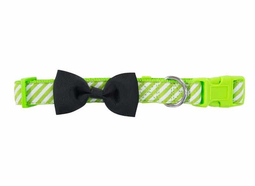 Hot Dog Collar Stripe Green M/l - Giftolicious