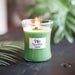 Woodwick Medium Palm Leaf - Giftolicious